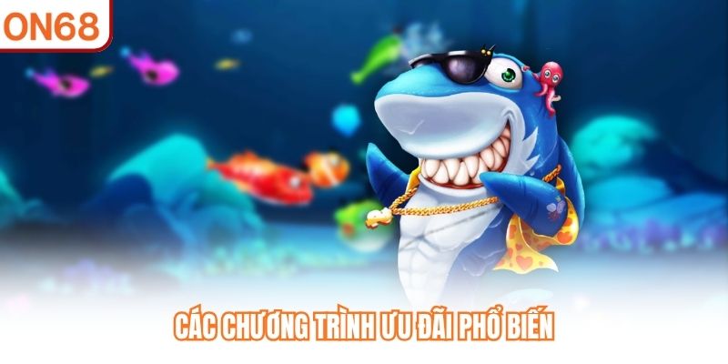 Các chương trình