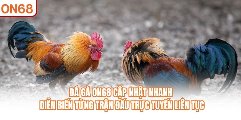 Đá Gà ON68 cập nhật nhanh diễn biến từng trận đấu trực tuyến liên tục